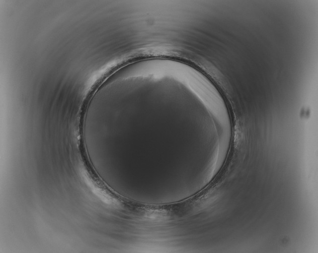 X0000111370438200907241249