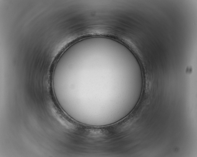 X0000111370439200907241249