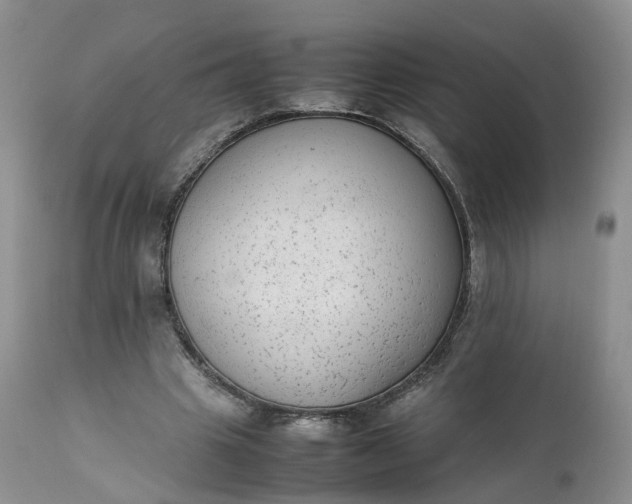 X0000111370441200907241249