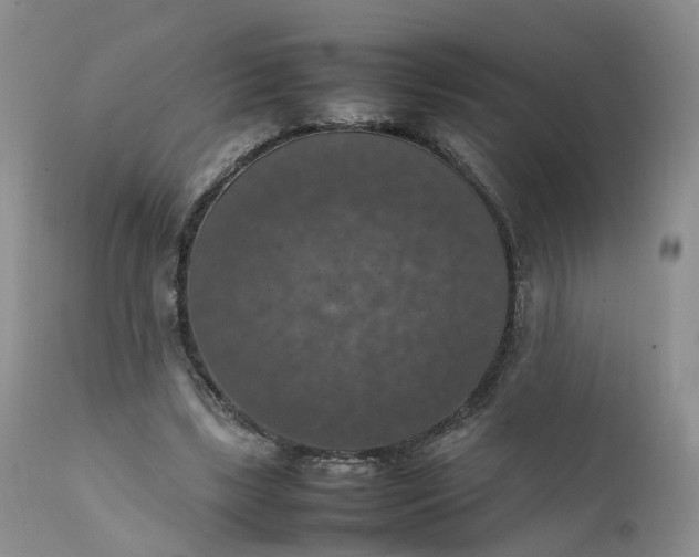 X0000111370443200907241249