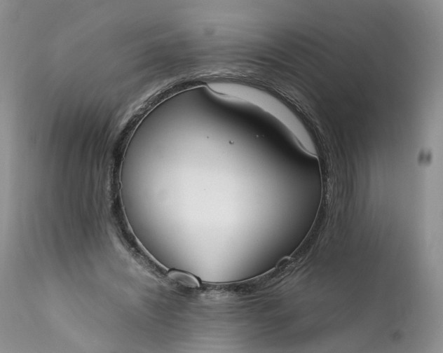 X0000111370444200907241249