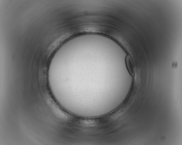 X0000111370445200907241249