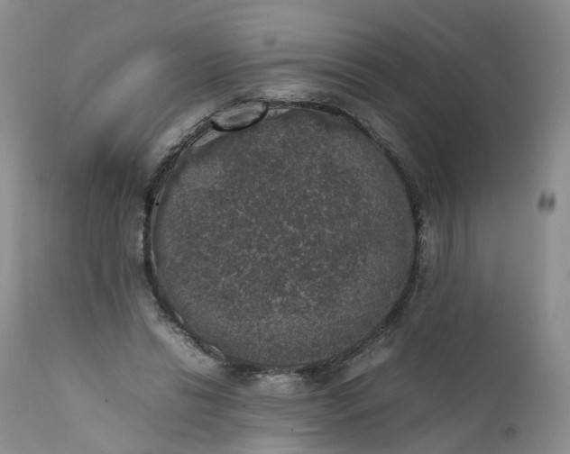 X0000111370446200907241249