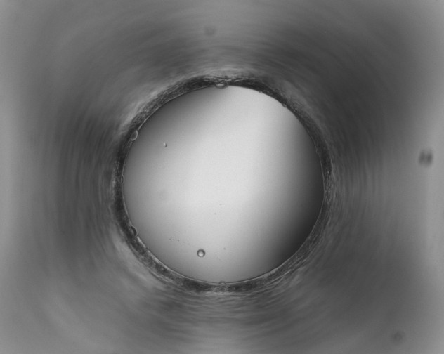 X0000111370448200907241249