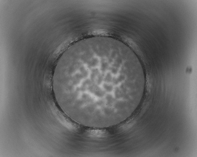 X0000111370449200907241249