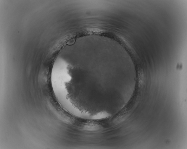 X0000111370451200907241249