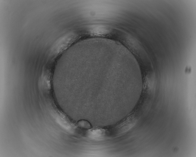 X0000111370452200907241249