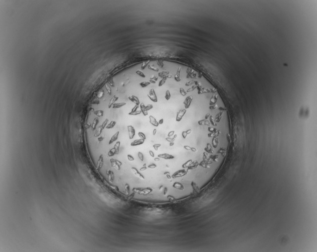 X0000111370453200907241249