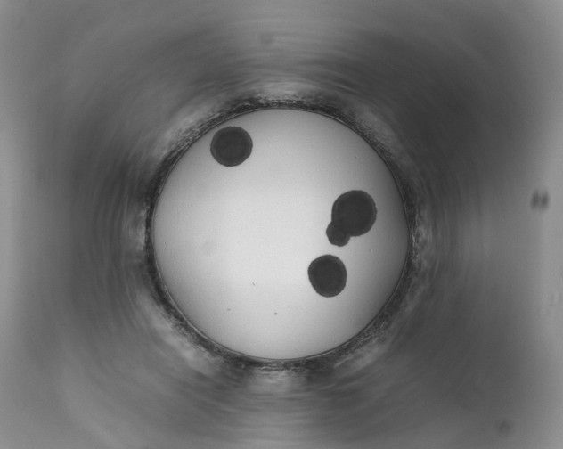 X0000111370454200907241249