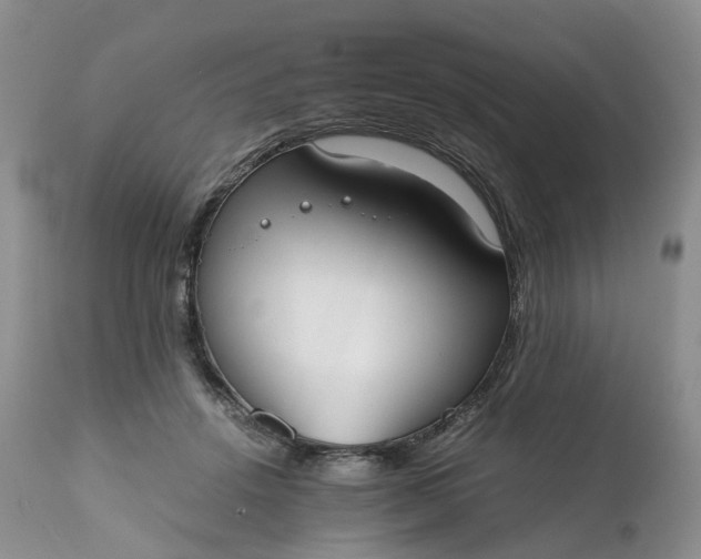 X0000111370456200907241249