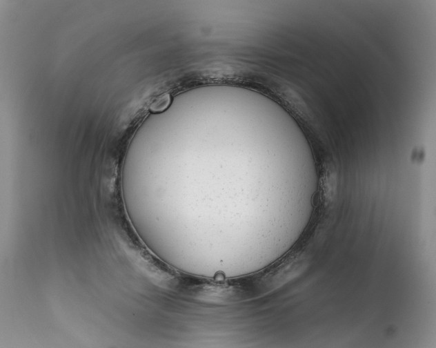 X0000111370458200907241249