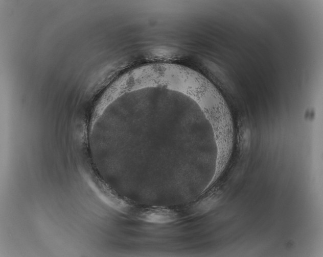 X0000111370459200907241249