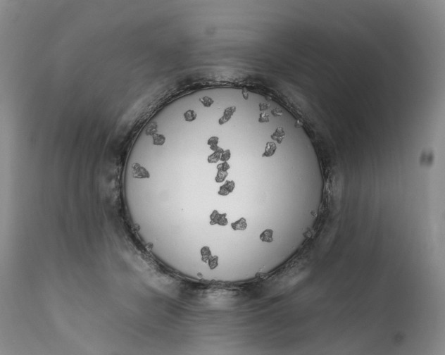 X0000111370462200907241250