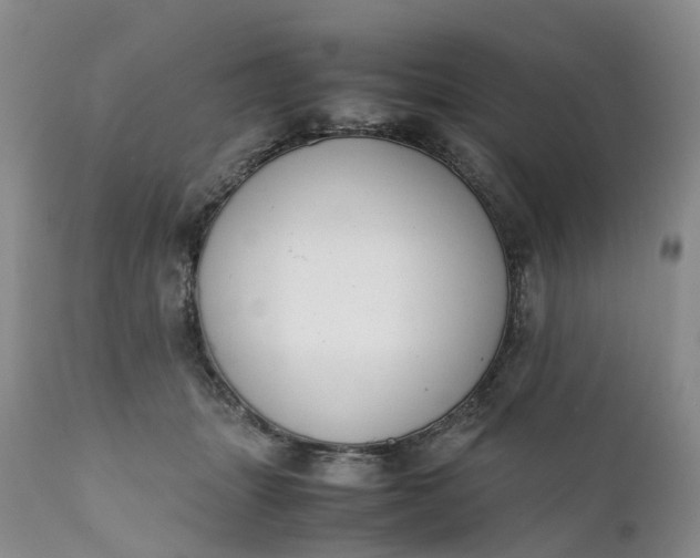 X0000111370463200907241250