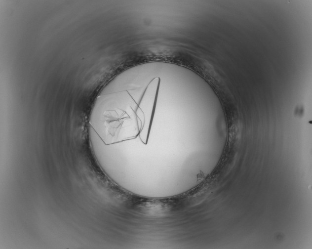 X0000111370464200907241250