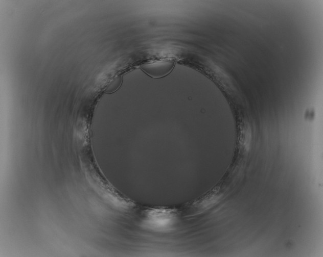 X0000111370465200907241250