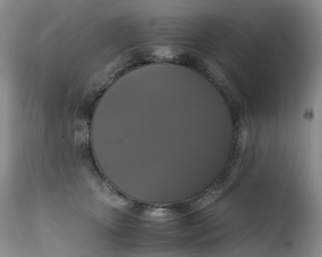 X0000111370467200907241250