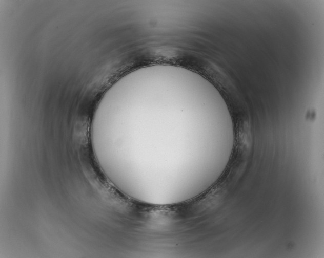 X0000111370468200907241250