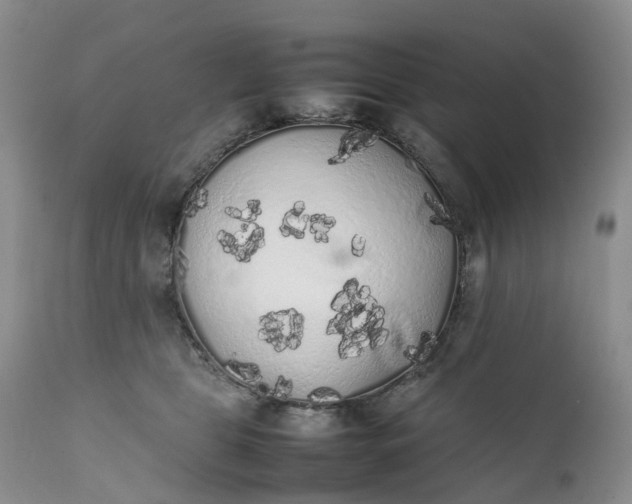 X0000111370469200907241250