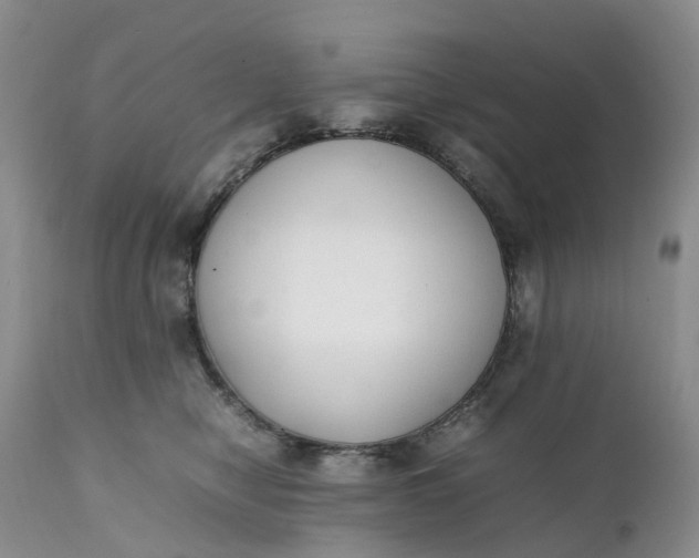 X0000111370470200907241250