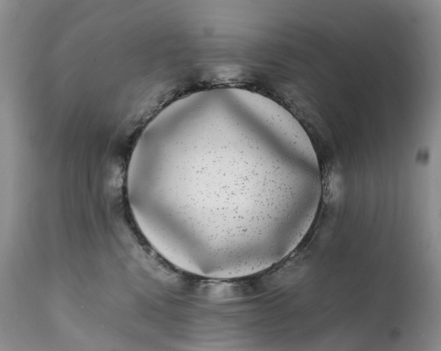 X0000111370472200907241250