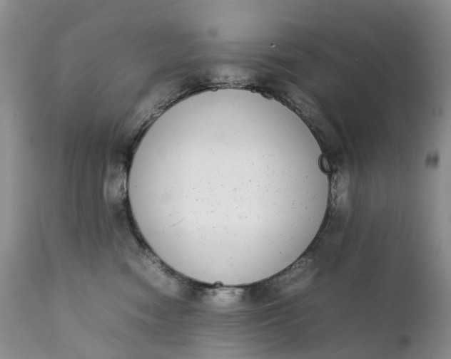 X0000111370474200907241250