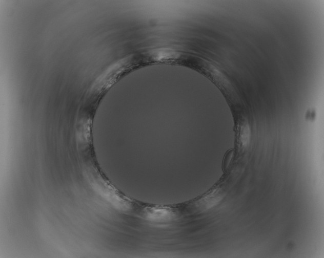 X0000111370475200907241250