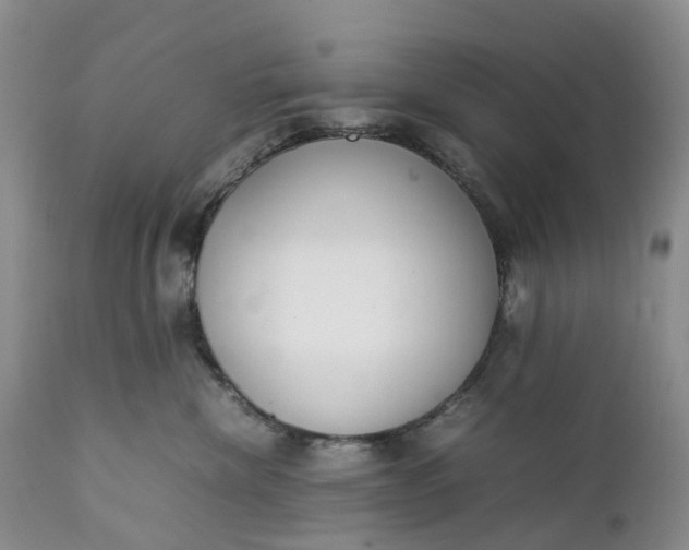 X0000111370476200907241250