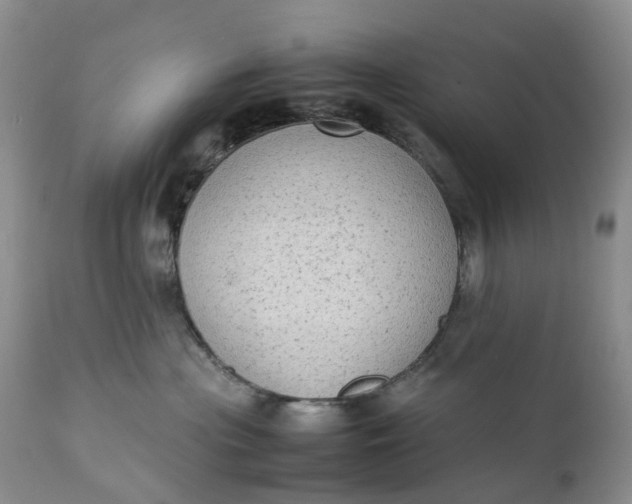 X0000111370477200907241250