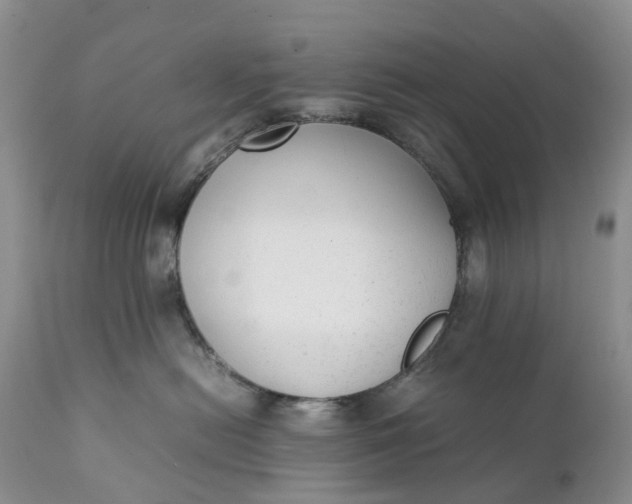 X0000111370478200907241250