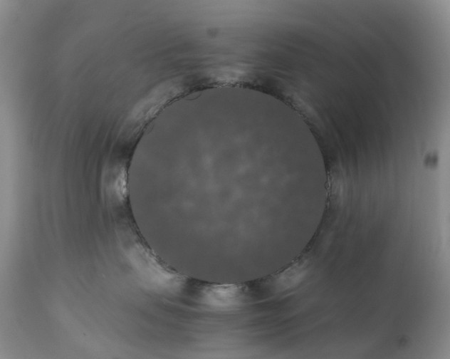 X0000111370479200907241250