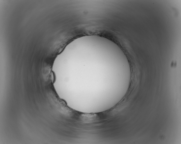 X0000111370480200907241250