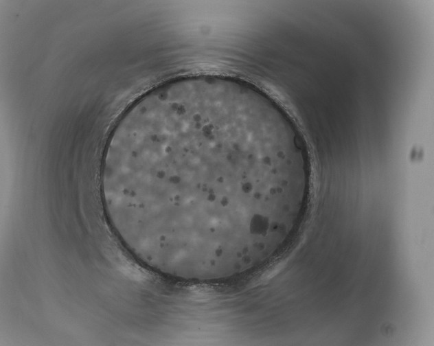 X0000111370481200907241249