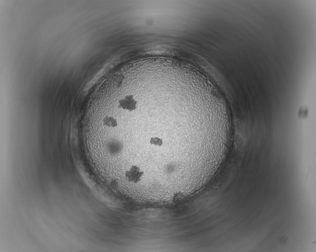 X0000111370482200907241249