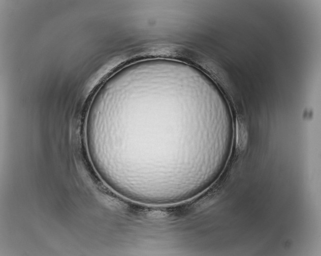 X0000111370483200907241249