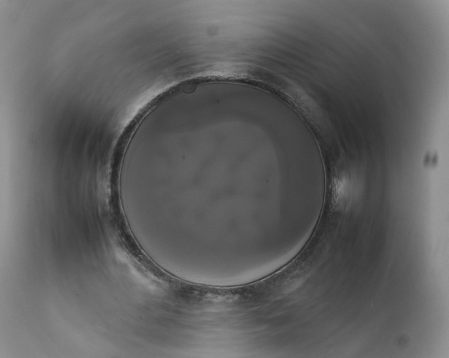 X0000111370484200907241249