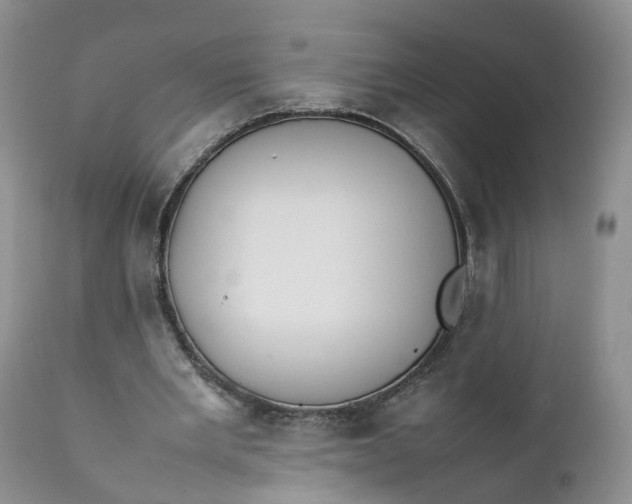 X0000111370485200907241249