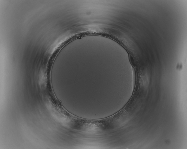 X0000111370488200907241249