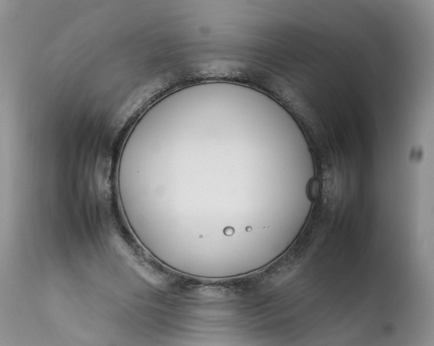 X0000111370490200907241249