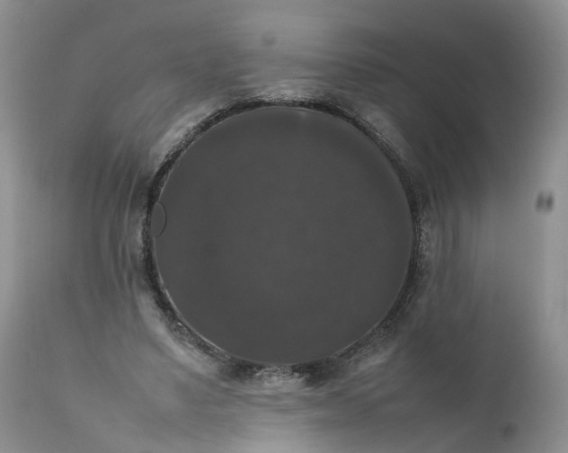 X0000111370491200907241249