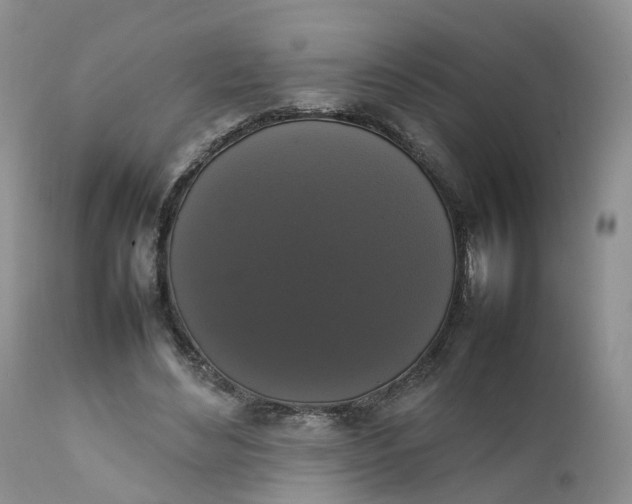 X0000111370492200907241249