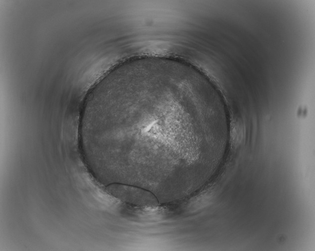 X0000111370493200907241249