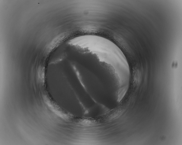 X0000111370494200907241249