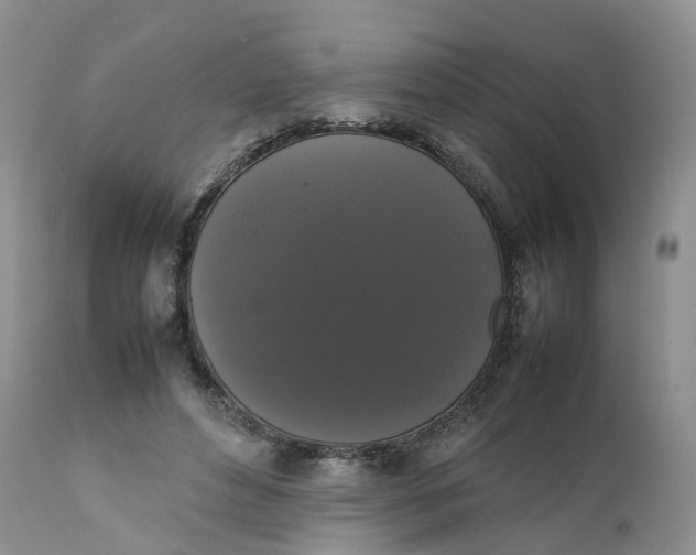 X0000111370496200907241249