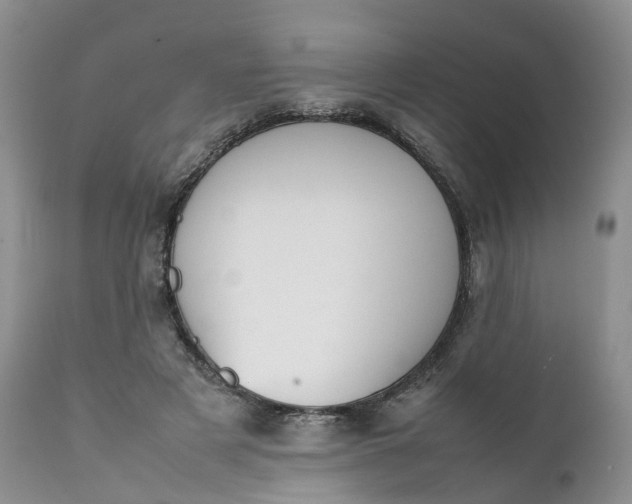 X0000111370497200907241249