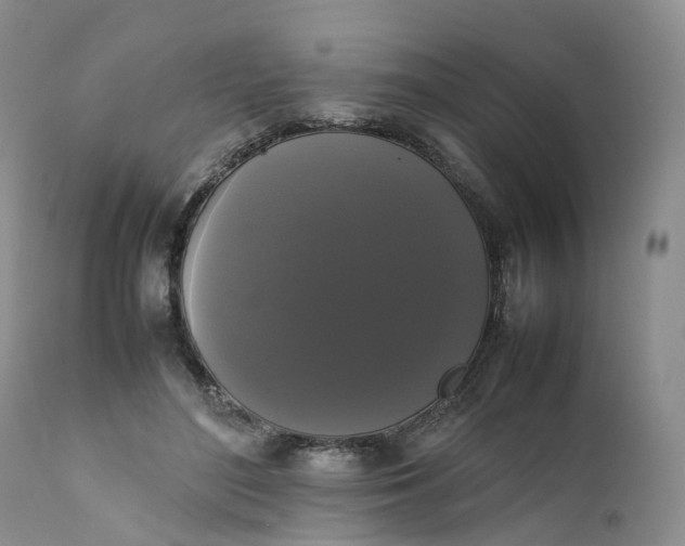 X0000111370500200907241249