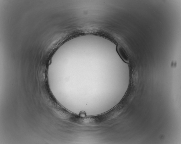 X0000111370501200907241249