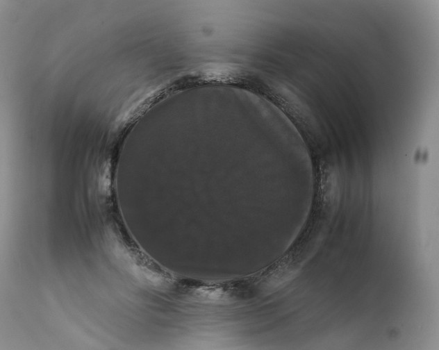 X0000111370502200907241249