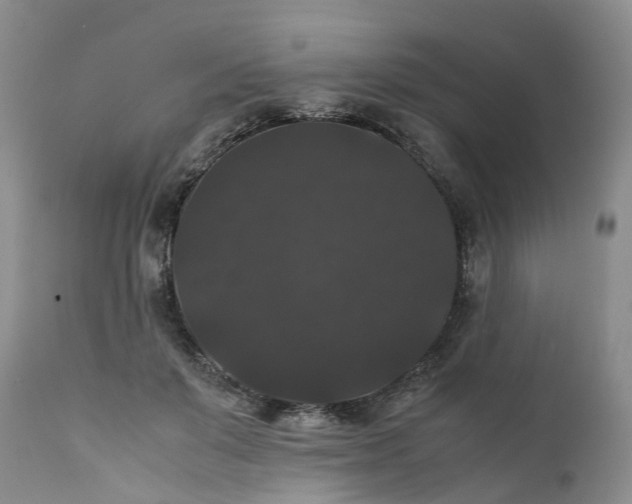 X0000111370503200907241249