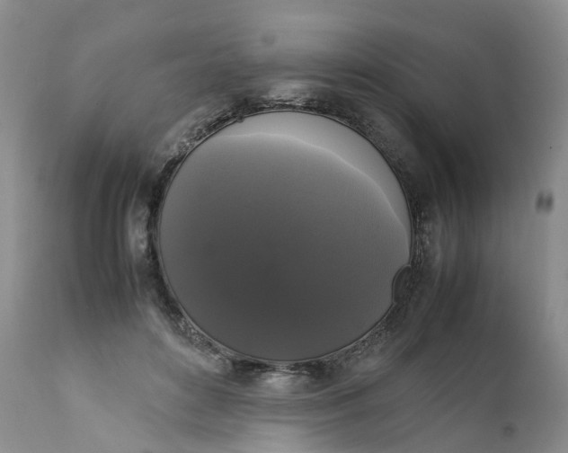 X0000111370504200907241249